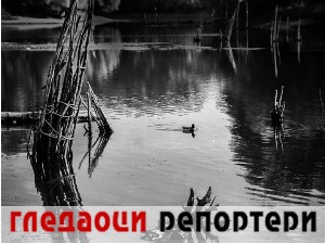 Гледаоци репортери (9. новембар 2021)