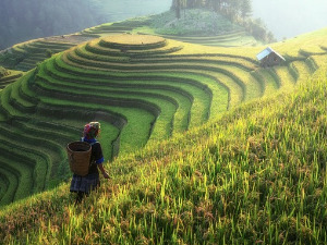 Добро јутро децо: Седма кћи небеског цара 