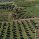 Хоће ли карловачке винограде и медоносне ливаде прекрити прашина из циглане
