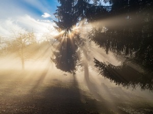 Смена магле, мраза и облака, али се помаља и сунце