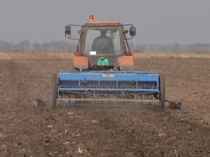 Сетва пшенице се приводи крају, са којим проблемима су се суочили ратари
