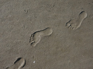 Добро јутро децо: Зашто у људи није табан раван