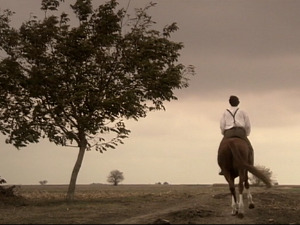  1001 Траг - Удовица - Јелена Дејановић 