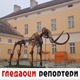 Гледаоци репортери (17. новембар 2021)