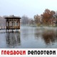 Гледаоци репортери (19. новембар 2021)