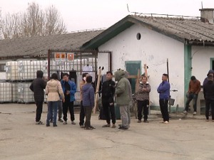 Већина радника "Линглонга" из Вијетнама у штрајку, део наставља са радом