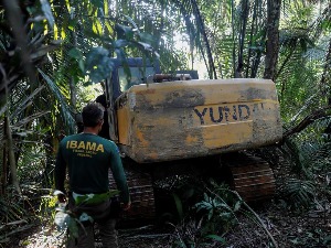 Секу и не питају за сутра, нестаје Амазонија