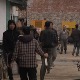 Пашалић: Преговора се о пресељењу преосталих вијетнамских радника, тражићемо увид у радне дозволе