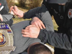 Акција у Новом Саду, ухапшено 17 особа због продаје факултетских диплома