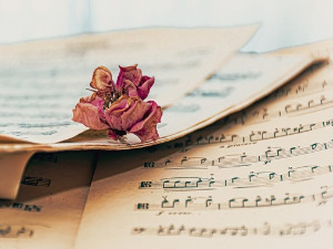 	Променада - Хит парада 1983. 