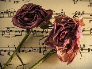 Боривоје Симић