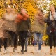 Да ли заиста на младима свет остаје – како да се њихов глас више чује