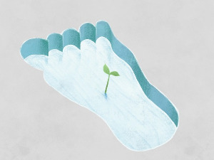 Добро јутро децо: Табановићи, 8. део