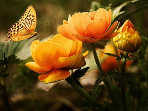 Добро јутро децо: Унук Тео