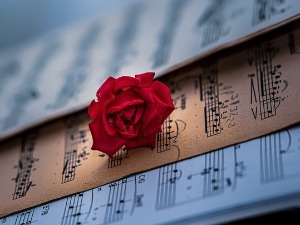 Композитор Јозеф Маркс