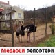 Гледаоци репортери (29. новембар 2021)