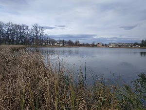 Тело жене извучено из језера у центру Крагујевца