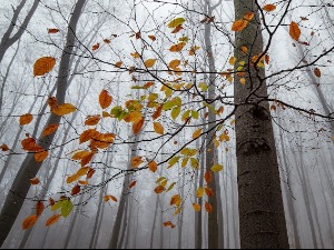 Облачно и хладније, снег на планинама