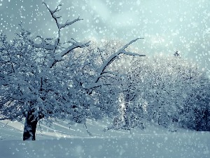 Прве пахуље током ноћи и у нижим пределима, када се очекује снежни покривач