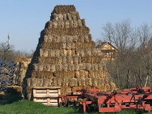 Прекогранична сарадња Србије и Хрватске, понуда биомасе на једном месту