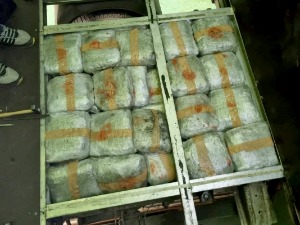 Заплењено 155 килограма марихуане на граничном прелазу Бачки Брег