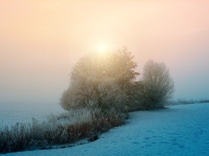 Предах од падавина, ујутру мраз и магла