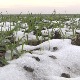 Снег добродошао житним пољима у Банату