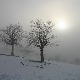 Облачно и хладно,  опрез због јутарње магле и поледице