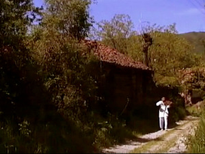  1001 Траг - Дико моја слатка неверо - Стојанка Нишевић 