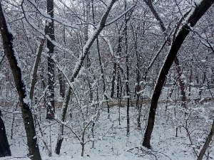 Јутарњи викенд програм