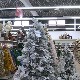 Све је поскупело, па чак и новогодишњи украси – трговци имају објашњење