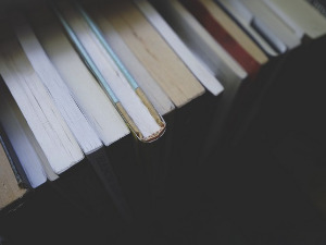 Добро јутро децо: Књига 