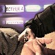 Ухапшени управник и васпитач нишког затвора због мита