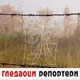 Гледаоци репортери (25. децембар 2021)