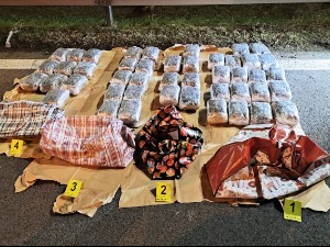 Лесковчанин превозио 50 килограма марихуане, па покушао да побегне полицији