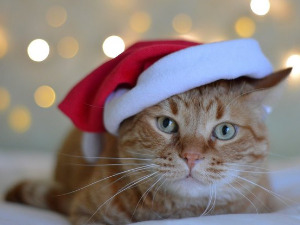 Добро јутро децо - Чарли и ватромет