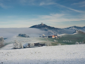 	Фолдер Србија: Вршачка кула