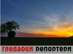 Гледаоци репортери (31. децембар 2021)