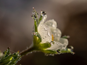  Добро јутро децо - Прича о капљицама 