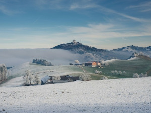 Фолдер Србија: Порекло српског језика 