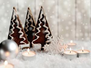 	Добро јутро децо - Бадњи дан, Александар Стевановић 