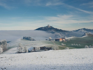 	Фолдер Србија: Здравица пред Божић 