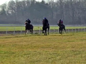 Галопом у 2022. годину - Шапчани традиционално на хиподрому