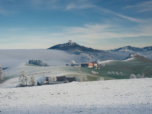 Фолдер Србија: Мед