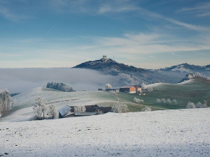 Фолдер Србија: Коледари 