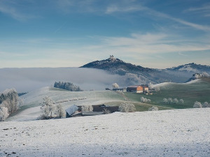 Фолдер Србија: Здравица пред Божић 