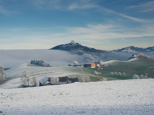  Фолдер Србија: Проја 