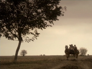  1001 Траг - Пољем се вије - Мирко Рондовић 