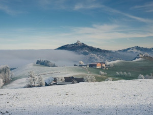 Фолдер Србија: Славе