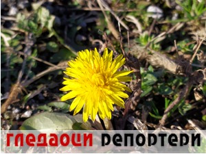 Гледаоци репортери (5. јануар 2022)